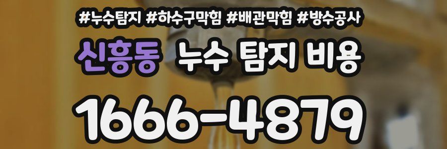 신흥동 누수 탐지 비용