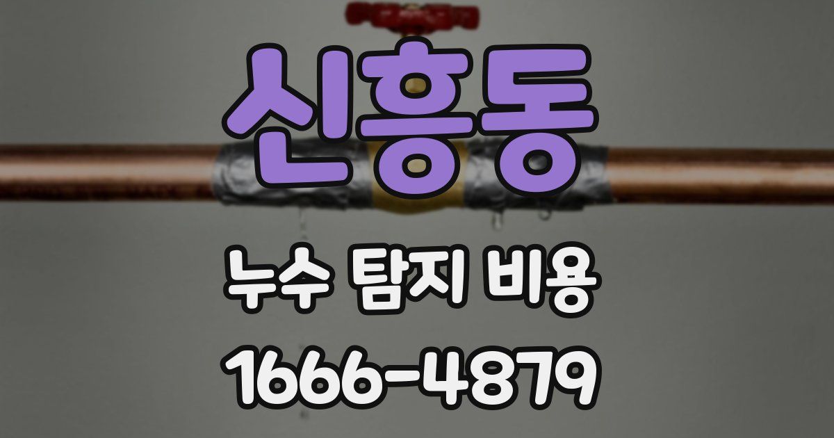 신흥동 누수 탐지 비용