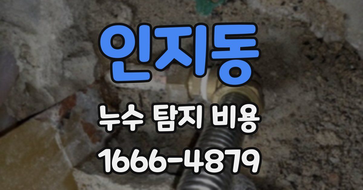 인지동 누수 탐지 비용