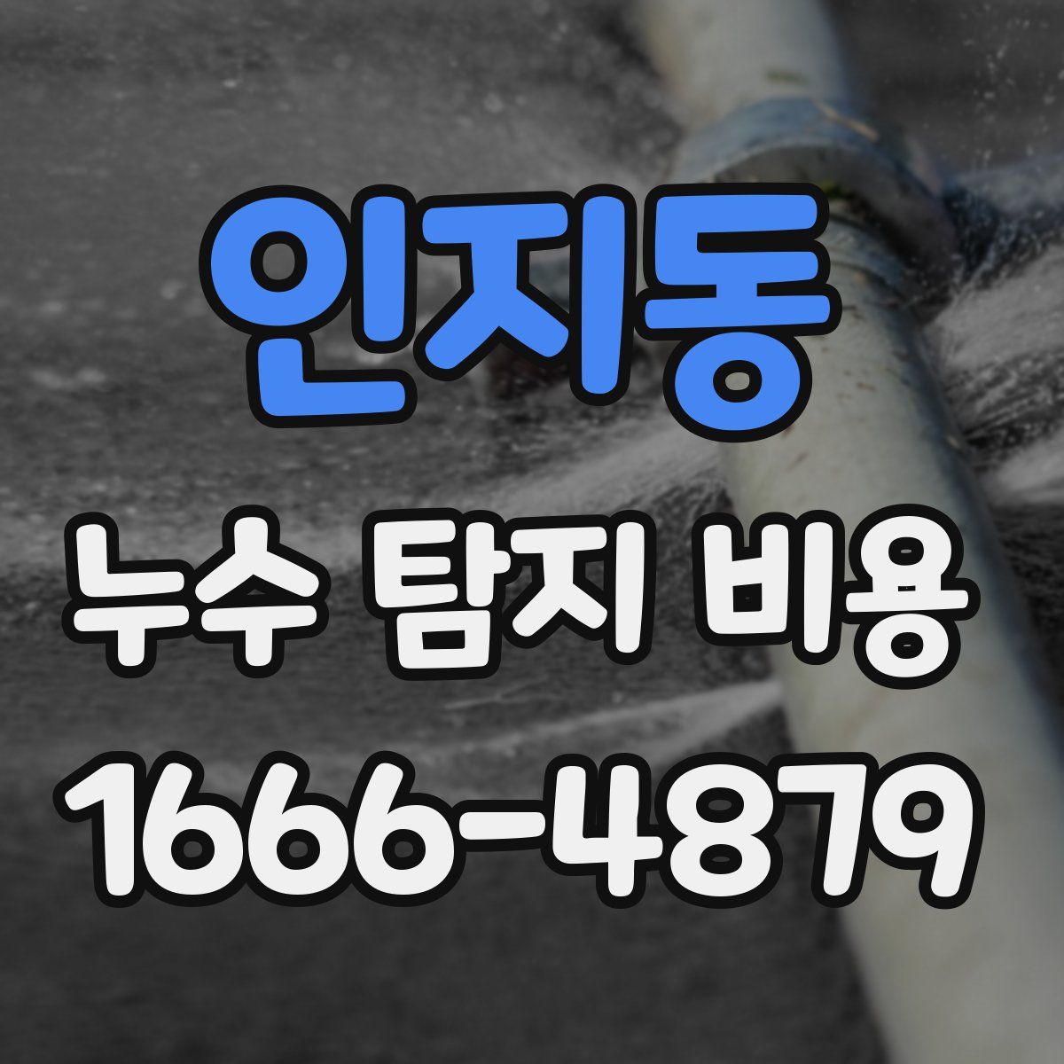 인지동 누수 탐지 비용