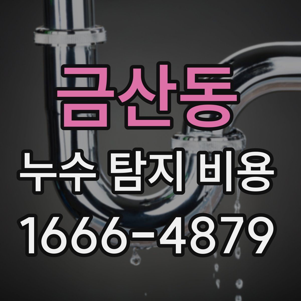 금산동 누수 탐지 비용