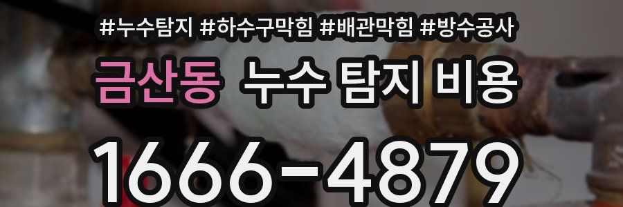 금산동 누수 탐지 비용