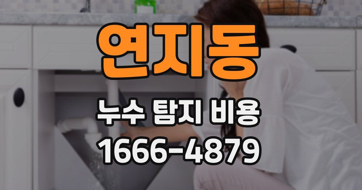 연지동 누수 탐지 비용