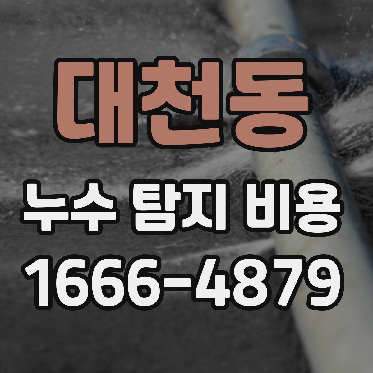 대천동 누수 탐지 비용