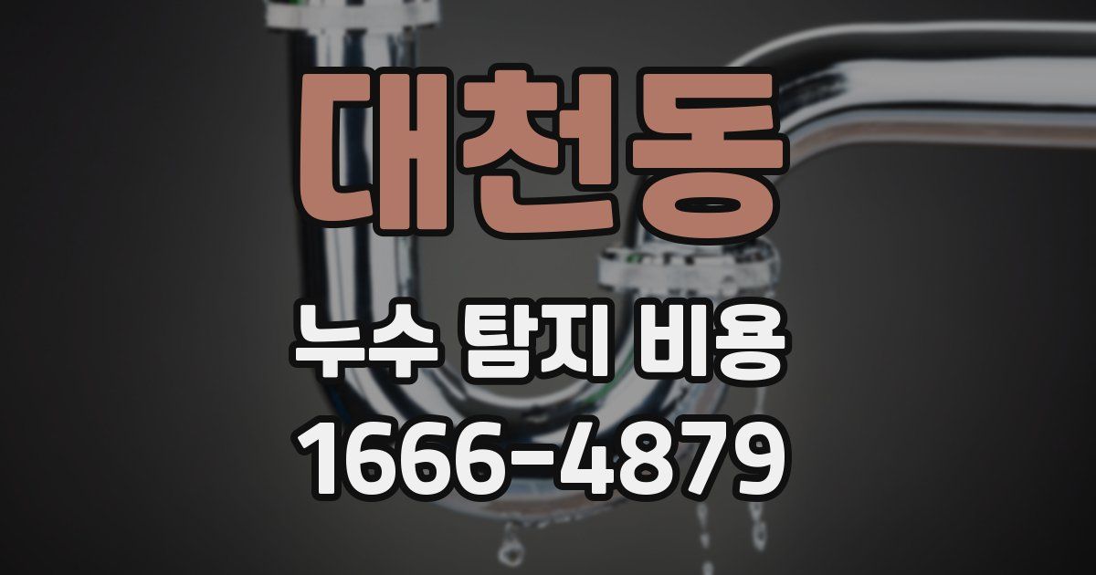 대천동 누수 탐지 비용