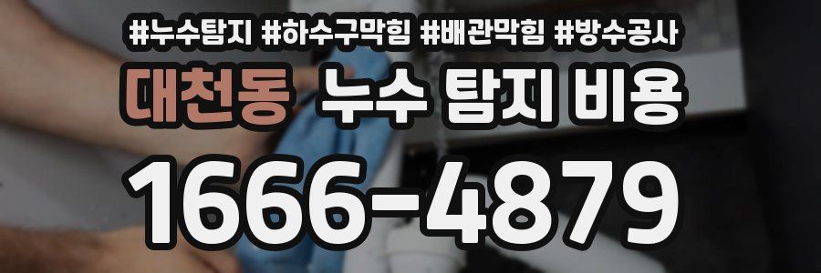 대천동 누수 탐지 비용
