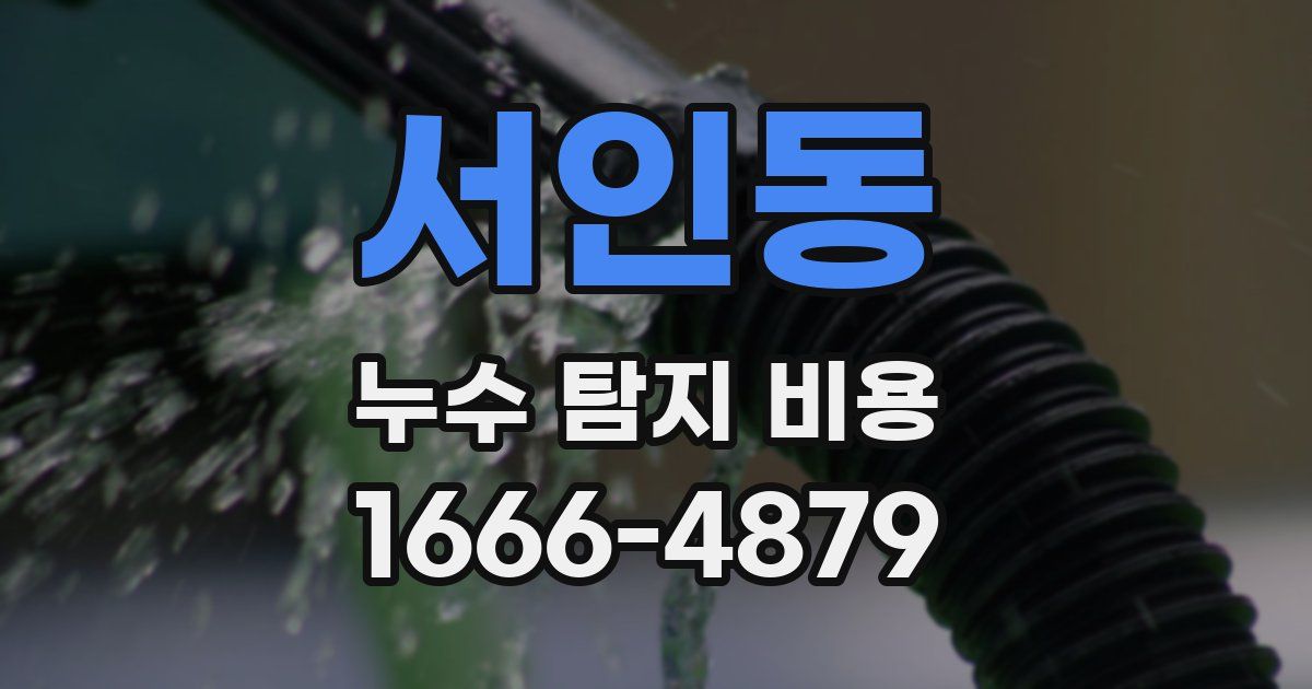 서인동 누수 탐지 비용