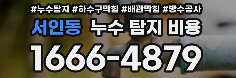 서인동 누수 탐지 비용