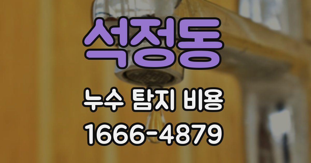 석정동 누수 탐지 비용