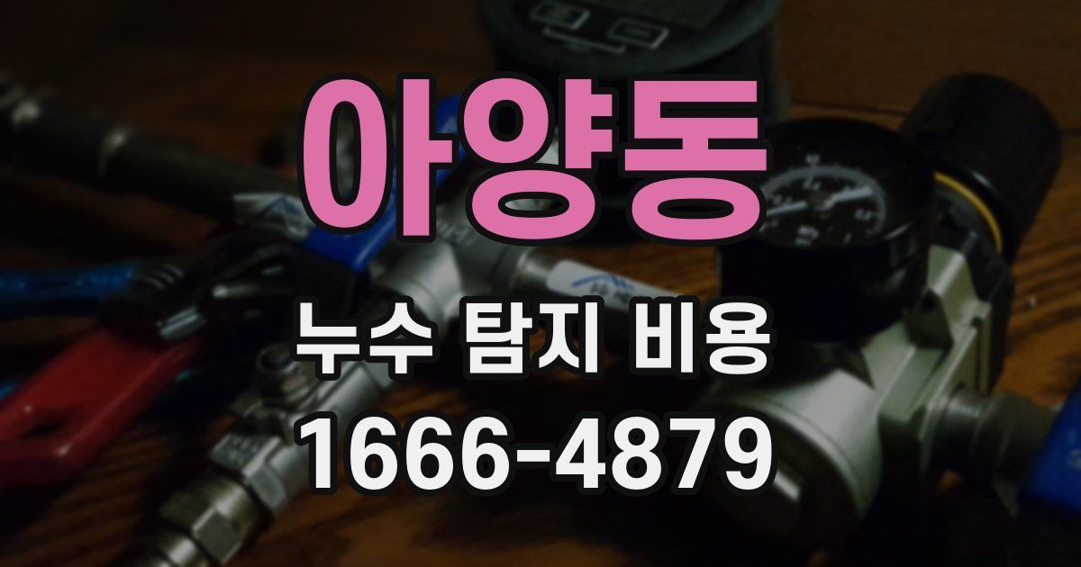 아양동 누수 탐지 비용