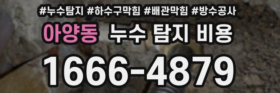아양동 누수 탐지 비용