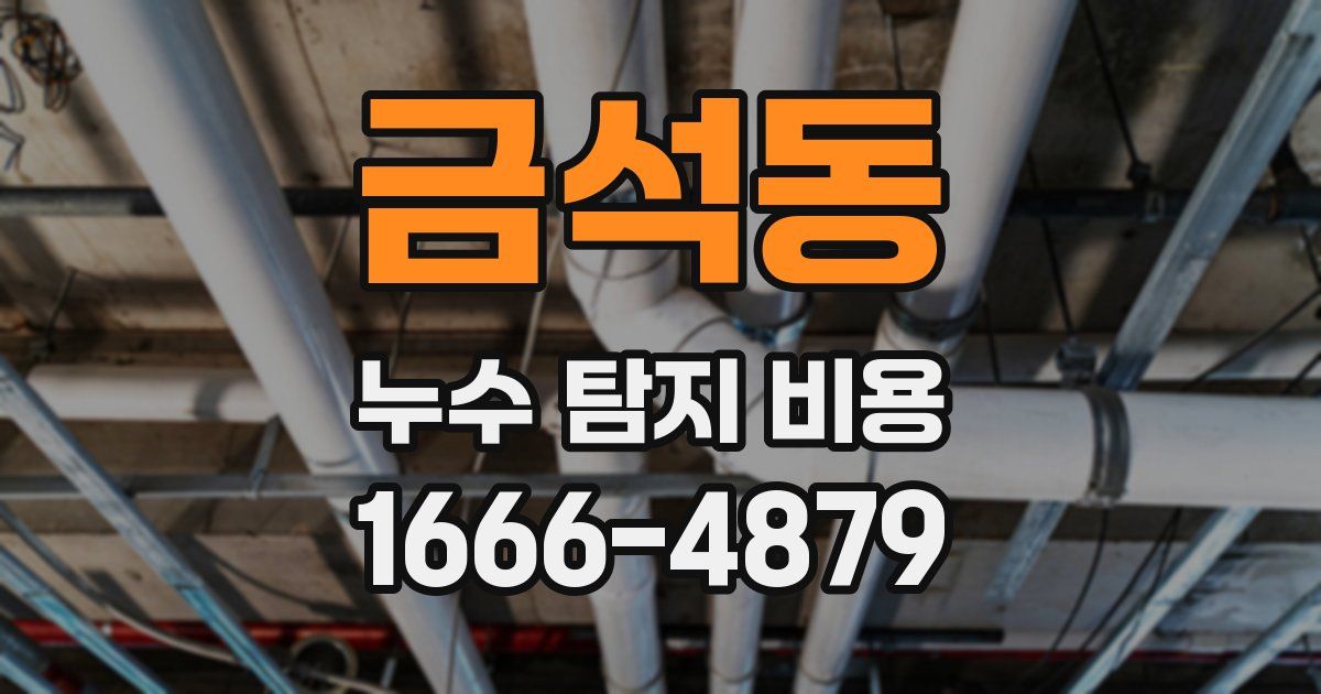 금석동 누수 탐지 비용