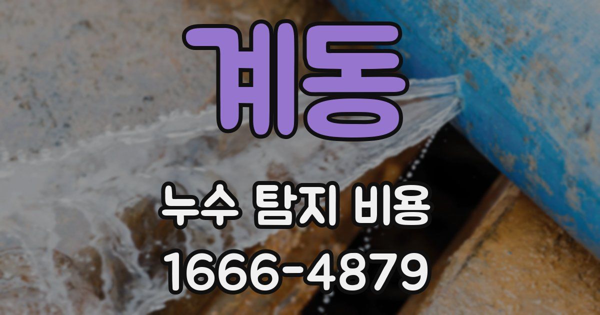 계동 누수 탐지 비용
