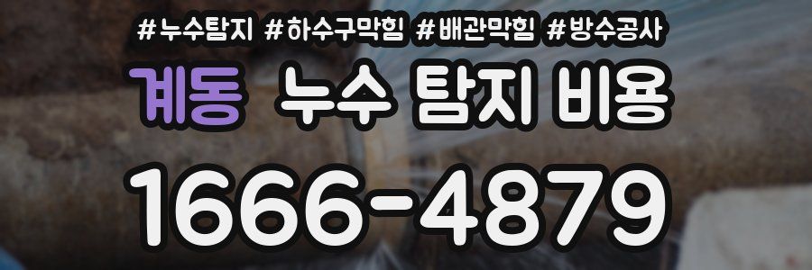 계동 누수 탐지 비용