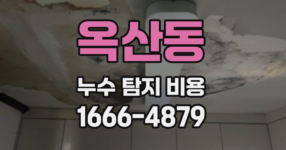 옥산동 누수 탐지 비용