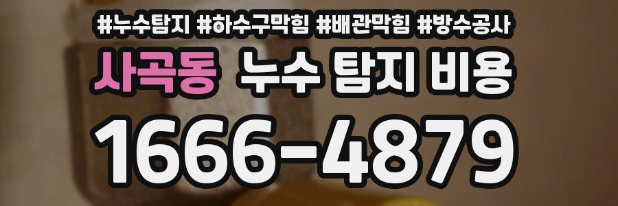 사곡동 누수 탐지 비용
