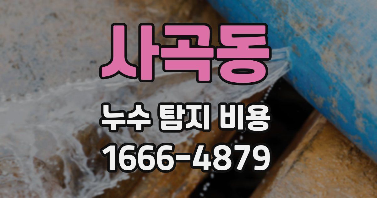 사곡동 누수 탐지 비용