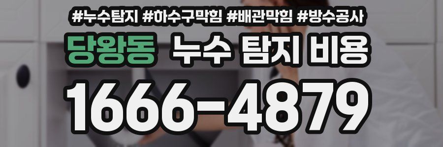 당왕동 누수 탐지 비용