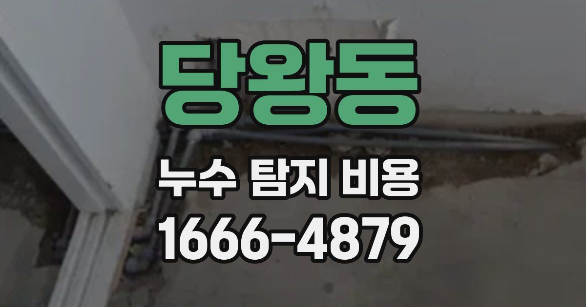 당왕동 누수 탐지 비용