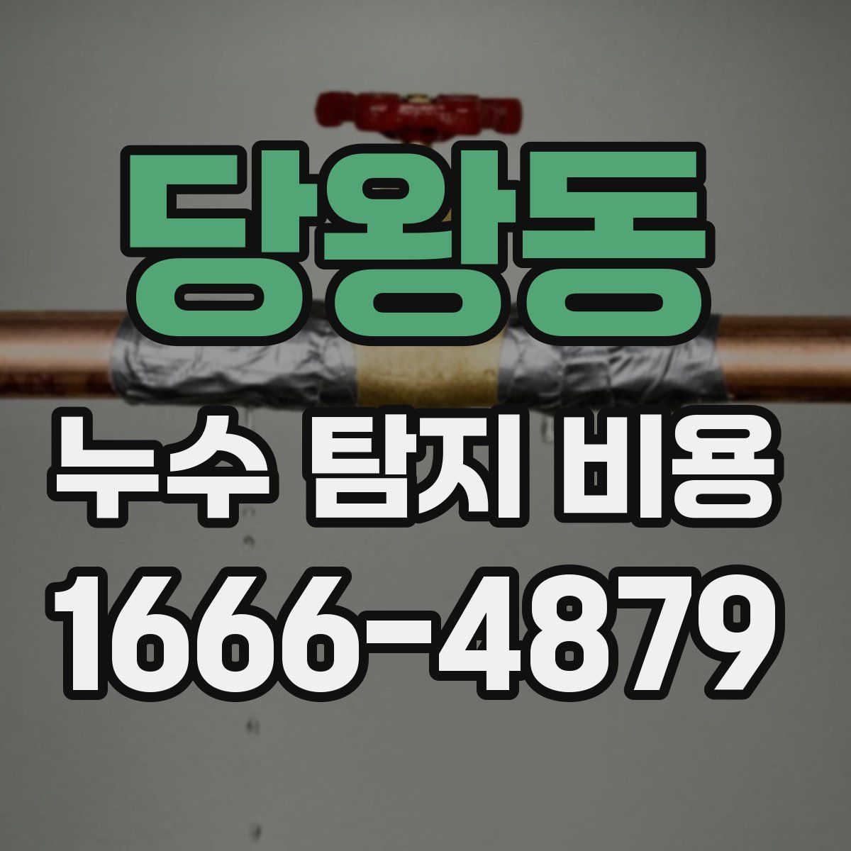 당왕동 누수 탐지 비용