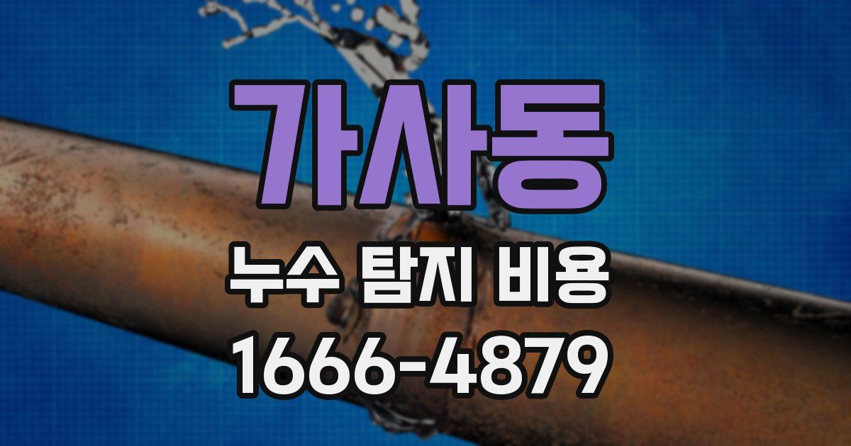 가사동 누수 탐지 비용