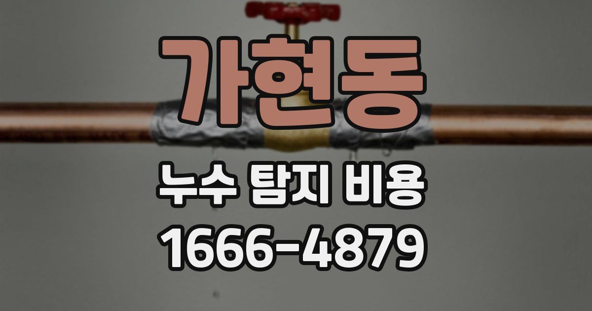 가현동 누수 탐지 비용