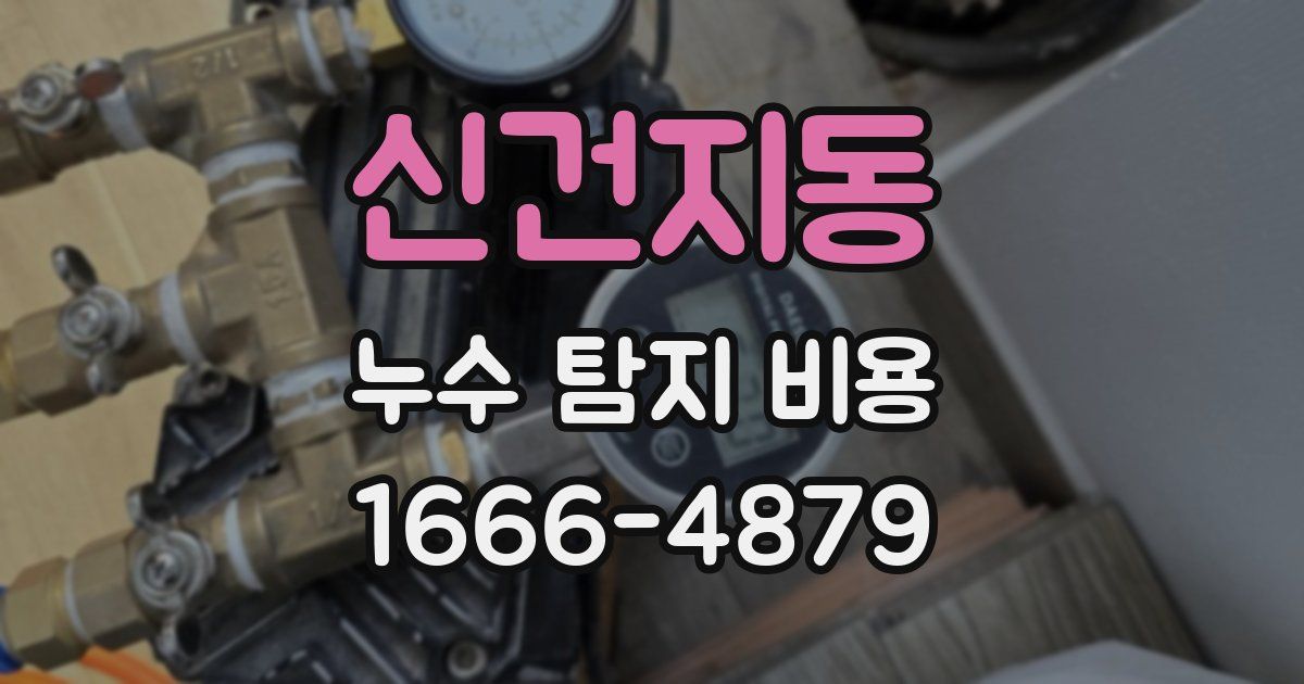 신건지동 누수 탐지 비용
