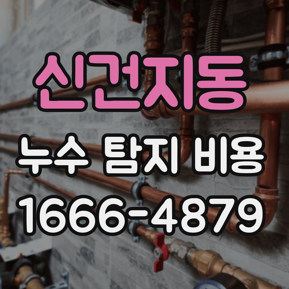 신건지동 누수 탐지 비용