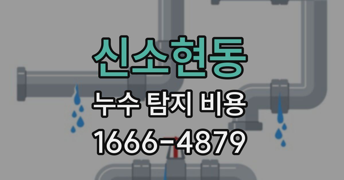 신소현동 누수 탐지 비용