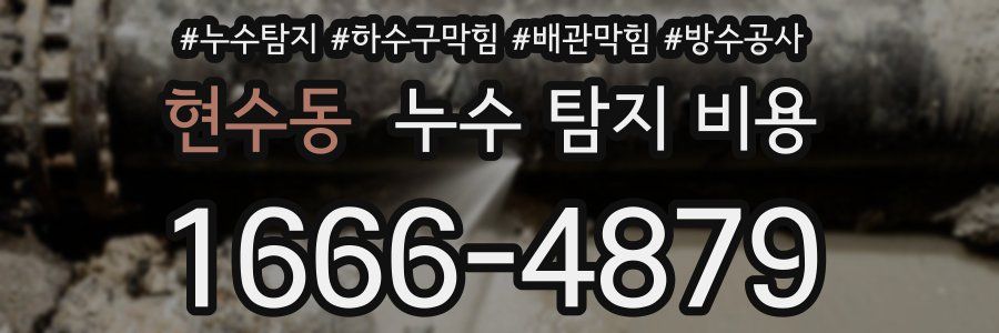 현수동 누수 탐지 비용