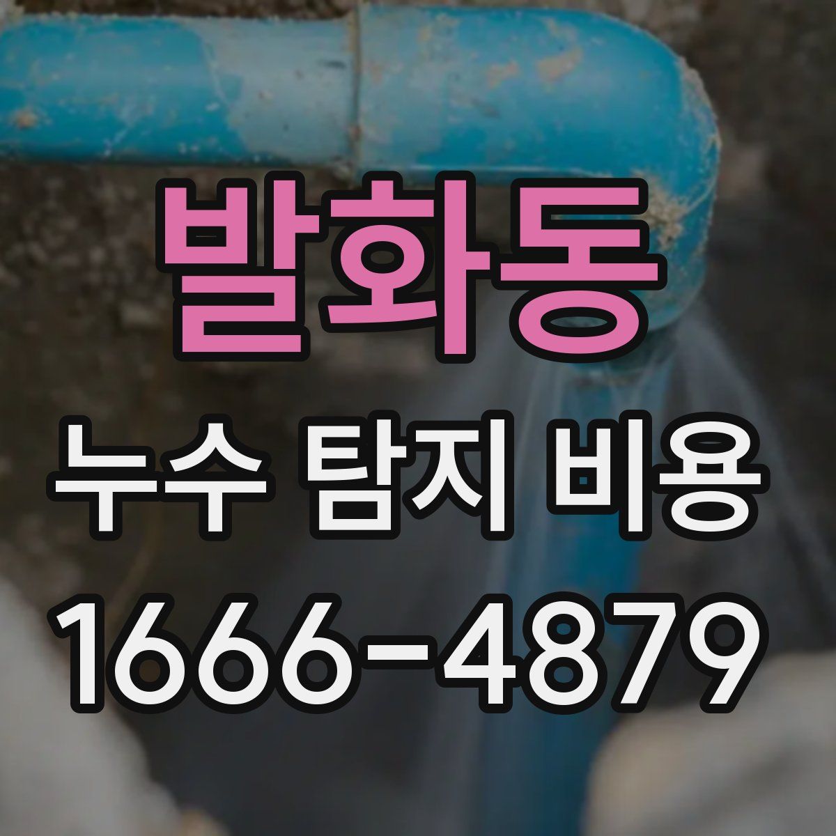 발화동 누수 탐지 비용