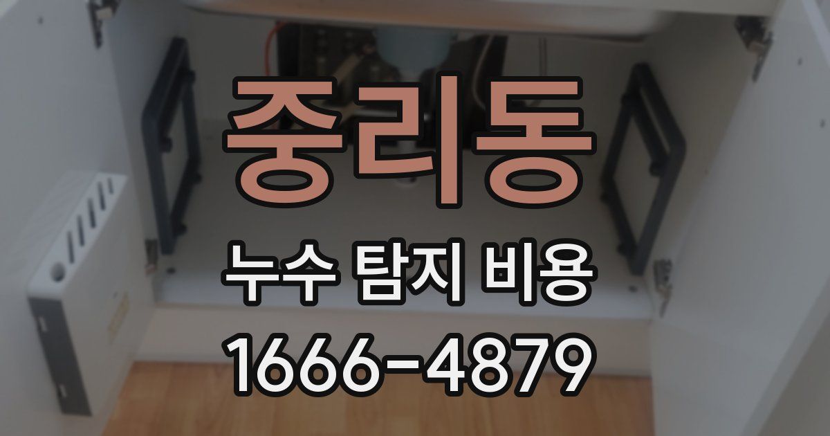 중리동 누수 탐지 비용