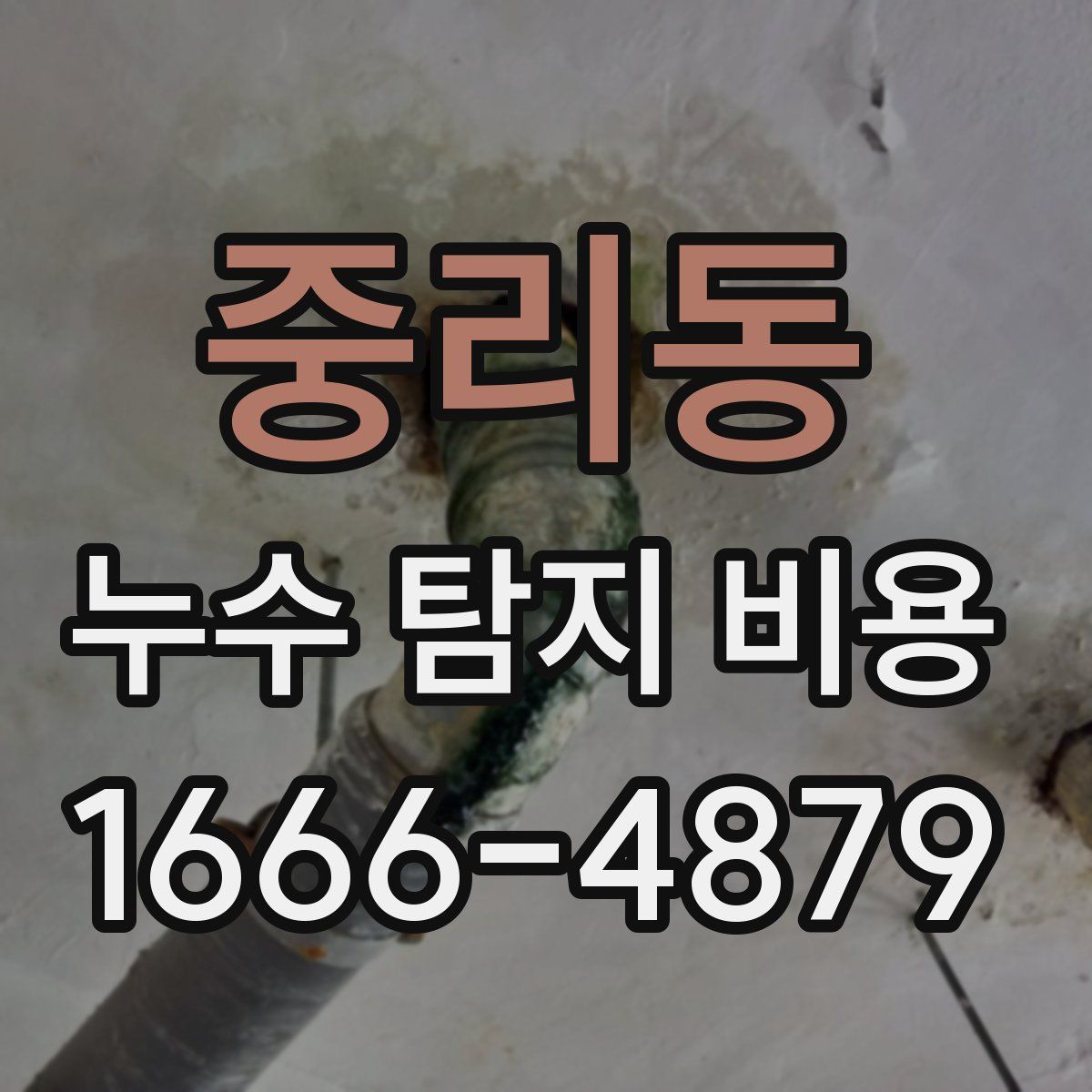 중리동 누수 탐지 비용