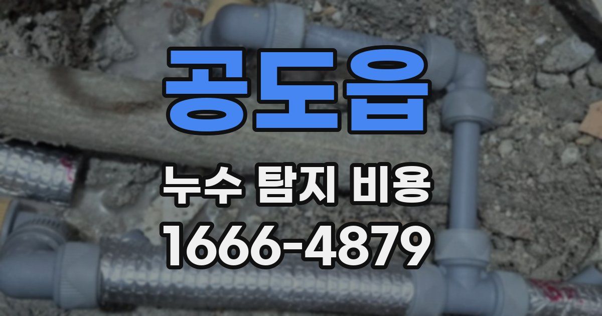공도읍 누수 탐지 비용