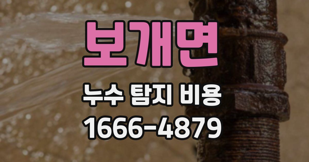 보개면 누수 탐지 비용