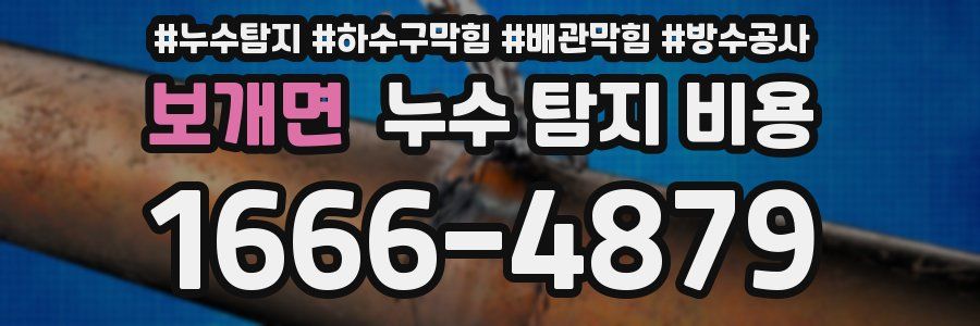 보개면 누수 탐지 비용