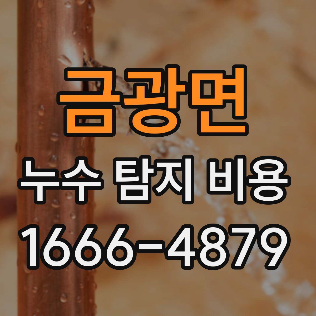 금광면 누수 탐지 비용