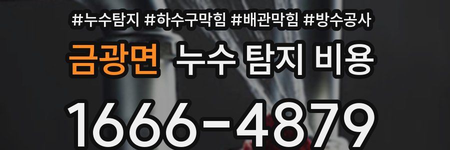금광면 누수 탐지 비용
