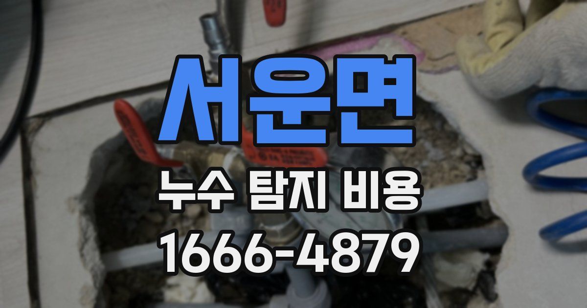 서운면 누수 탐지 비용