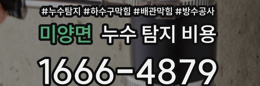 미양면 누수 탐지 비용