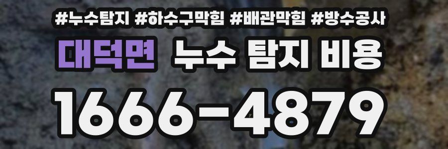 대덕면 누수 탐지 비용