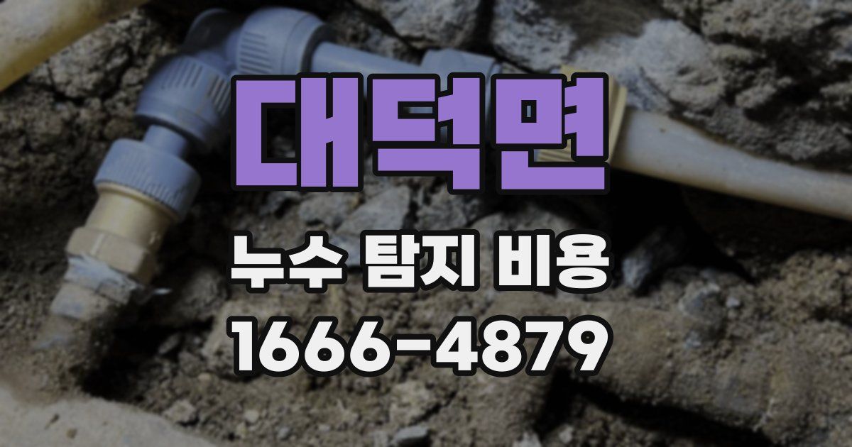 대덕면 누수 탐지 비용