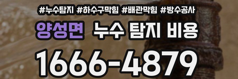 양성면 누수 탐지 비용