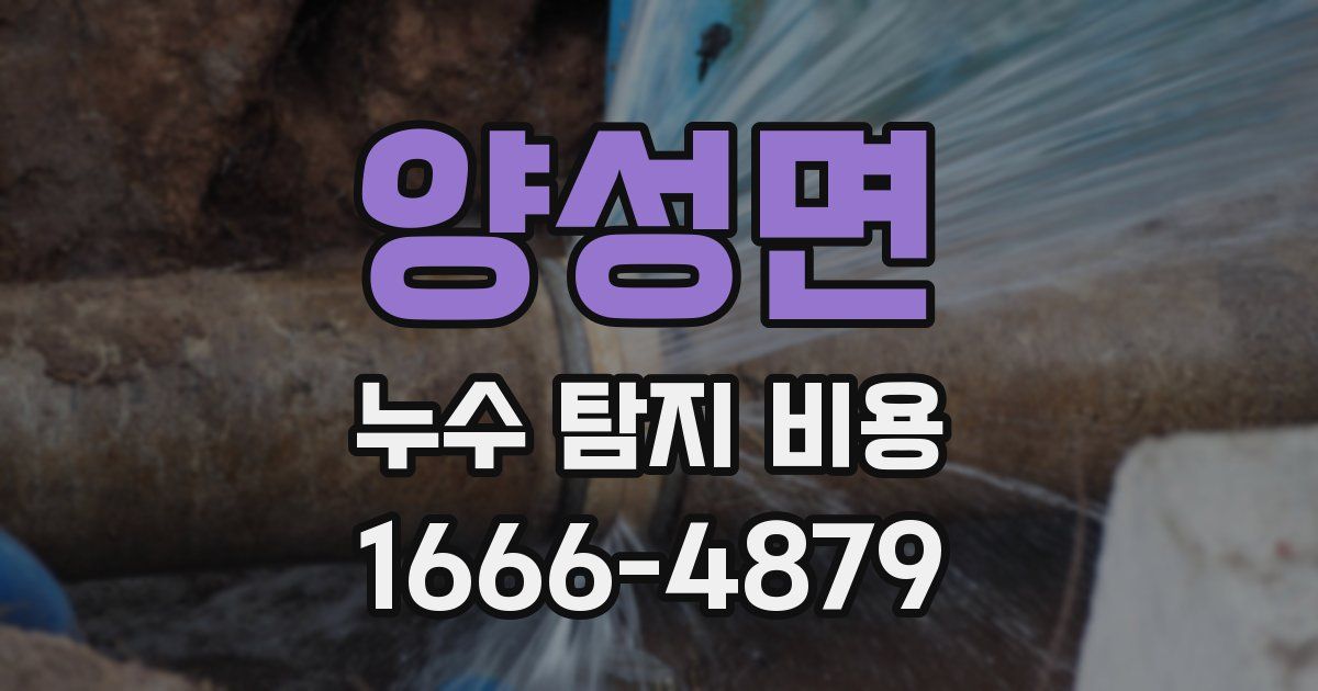 양성면 누수 탐지 비용