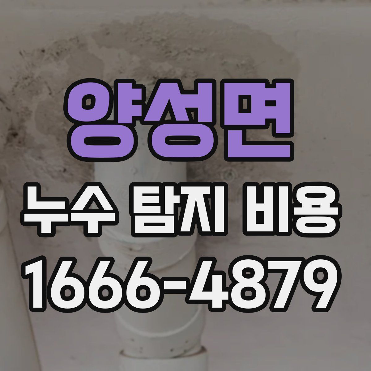 양성면 누수 탐지 비용