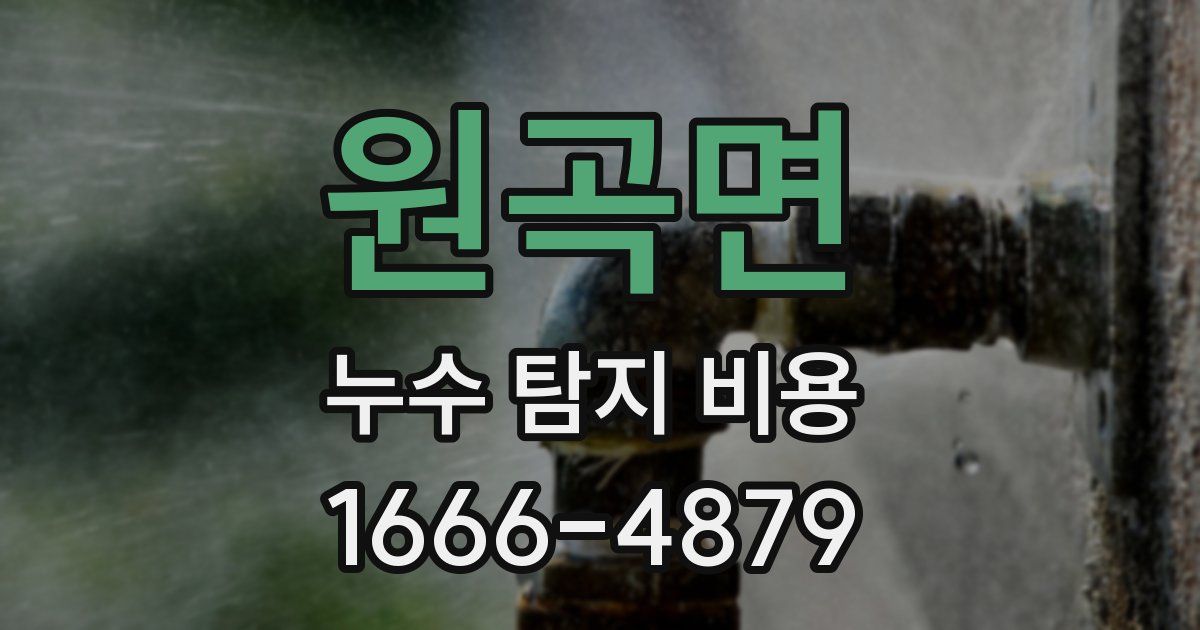 원곡면 누수 탐지 비용