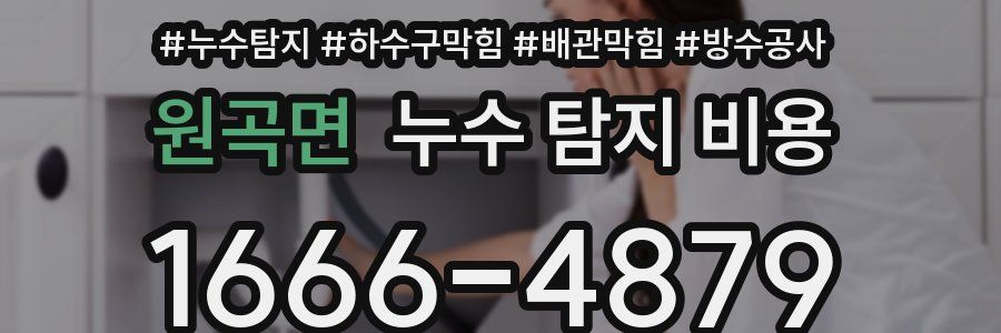 원곡면 누수 탐지 비용