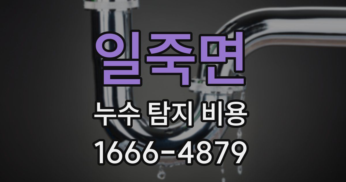 일죽면 누수 탐지 비용