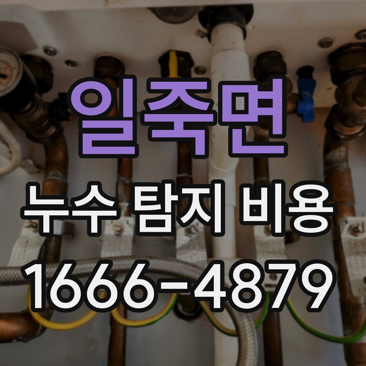 일죽면 누수 탐지 비용