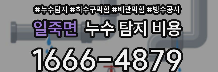 일죽면 누수 탐지 비용
